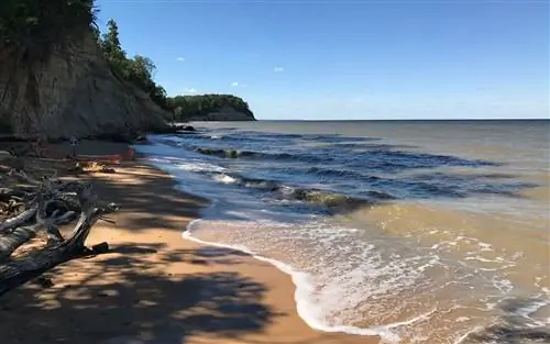 Лучшие пляжи Мэриленда