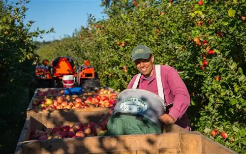 Сад Солебери