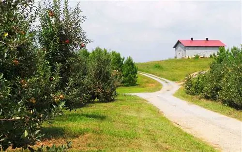 Сады Мерсье