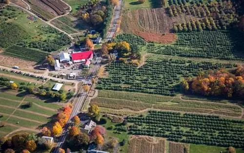 Ферма Эппл Крест