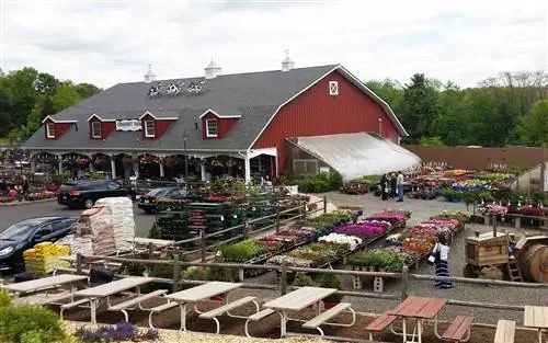 Фермы Демарест