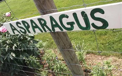 Терхунские сады