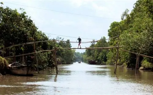 Обезьяньи мосты, Вьетнам