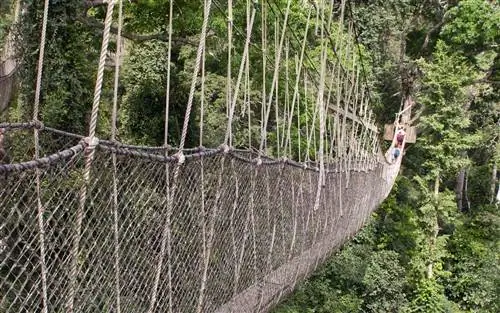 201009-w-bridges-canopy-гана