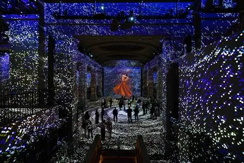 Иммерсивные художественные инсталляции в Hall des LumiÃ¨res