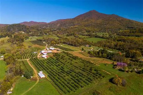 Этот очаровательный городок в Вирджинии - идеальное место для осеннего отдыха - с красивой листвой, сбором яблок и семейными мероприятиями