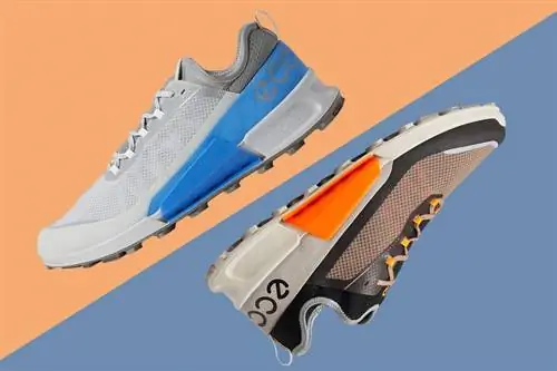 Кроссовки ECCO Sport Biom 2.1 Low Textile