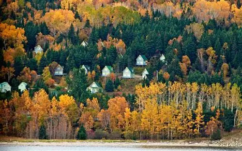 Круизная линия Голландия Америка