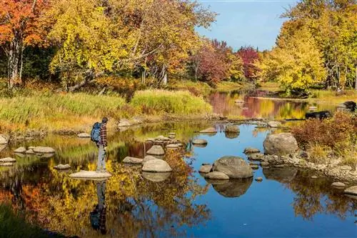 Мужчина переходит ручей в северном лесу штата Мэн. Падать.