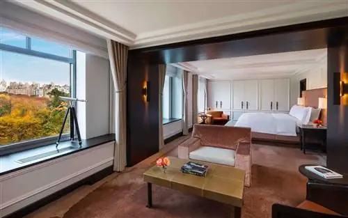 Вид из комнаты в отеле Ritz-Carlton New York, Центральный парк