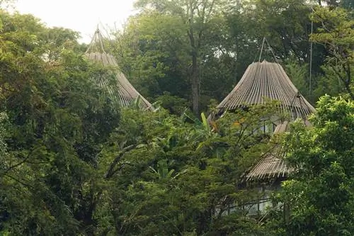 Внешний вид Keemala Tree Pool House