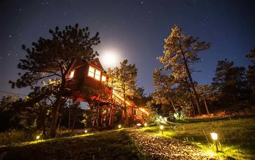 Airbnb Holiday Аренда на отпуск Treetop Лион Колорадо