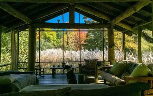 Airbnb Holiday Аренда на отпуск Treetop Эшфилд Масачусетс