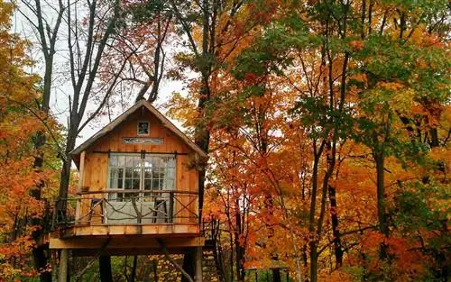 Airbnb Holiday Аренда на отпуск Treetop Argyle Нью-Йорк