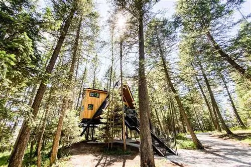Домик airbnb в лесу