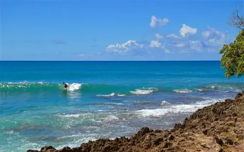 Черепаховый залив, Оаху