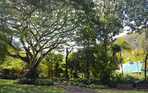 Ваймеа, Оаху