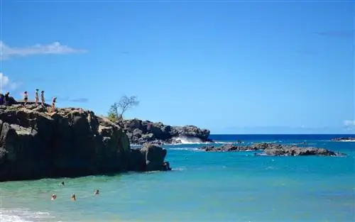 Ваймеа Бэй, Оаху