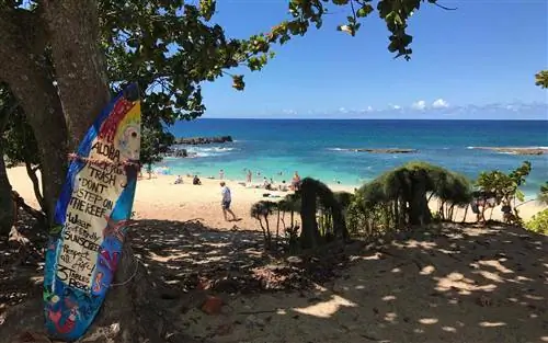 Три стола, Оаху