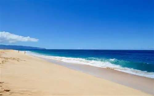 Банзай, Оаху