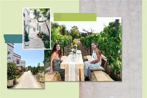 Фотографии Софи и Элизы из поездки в Италию в Остуни на винограднике за ужином