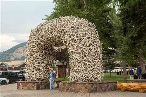 Роговая арка на углу улицы Джексон-Хоул в центре города