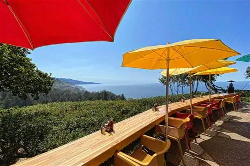 Сиденья на свежем воздухе с видом на Непенте в Биг-Суре