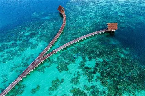 Вид с воздуха на заповедник Бава