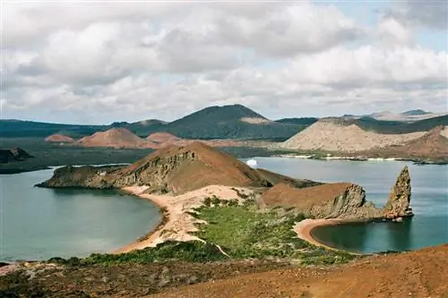В этом грандиозном круизе на Галапагосские острова вы познакомитесь с пингвинами, морскими черепахами и рифовыми акулами