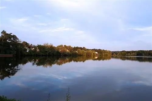 Отражение в водной кабине в Кранбурте, Нью-Джерси.