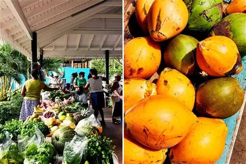 Две фотографии из Сент-Люсии, на одной из которых изображен рынок фруктов и овощей, а на другой - желтые и зеленые кокосы.