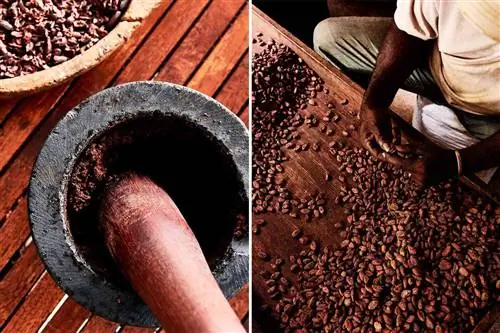 На двух фотографиях показаны этапы обработки какао в отеле Chocolat, включая сортировку какао-бобов и измельчение какао-крупки в пасту.