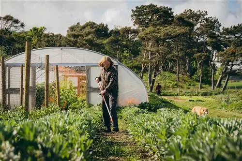 Садовник работает в рыночном комплексе Bowhouse в Шотландии.