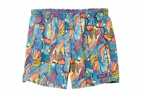 Шорты Patagonia Baggies
