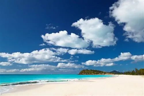 Идеальный вид на Карибский бассейн на пляже Ffryes Beach в Антигуа Идеальный вид на Карибский бассейн на пляже Ffryes Beach в Антигуа