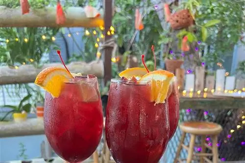 Коктейли от Pangea Terra Table