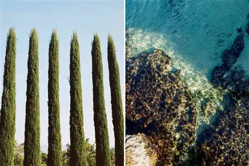 Две фотографии из Прованса, Франция, на которых видны кипарисы в Эксе, скалистое побережье и вода в Марселе.