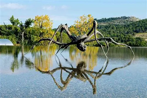 «Крадущийся паук» Луизы Буржуа в замке Ла-Кост во Франции.