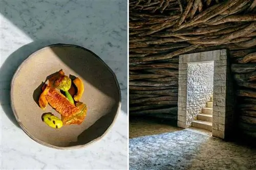 Две фотографии из Прованса, в том числе блюдо из рыбы и тыквы, и художественная инсталляция из дерева.