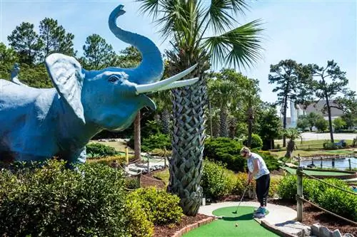 Южная Каролина, Миртл-Бич, Jungle Safari Golf, поле для мини-гольфа