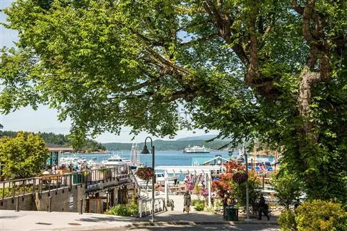 Лодки в Фрайдей-Харбор, Вашингтон