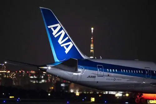 Хвост самолета ANA, освещенный ночью