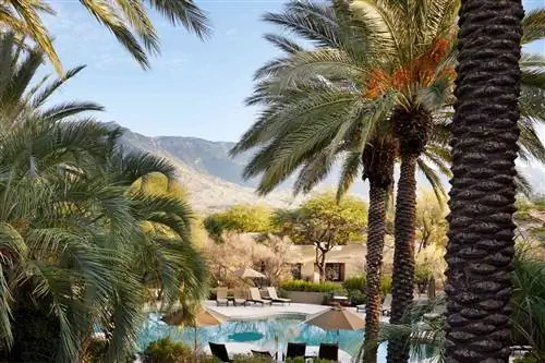 Спа-бассейн в Miraval Arizona