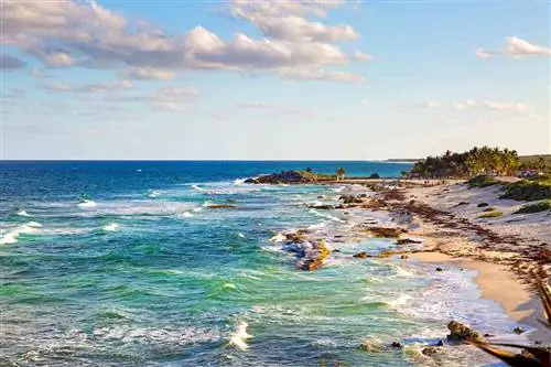 Косумель Мексика Береговая линия Карибского моря