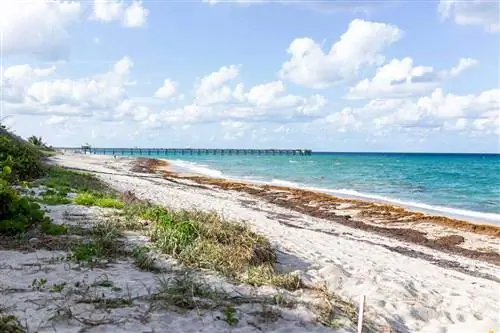 Пристань Juno Beach Pier в Юпитере, Флорида