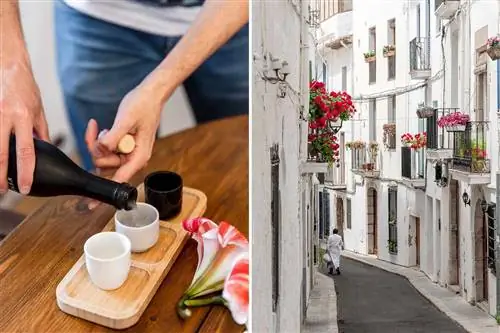 Две фотографии из Испании, на одной из которых изображен человек, чистящий сакэ, а на другой - мужчина, идущий по маленькой улице в Ситжесе.