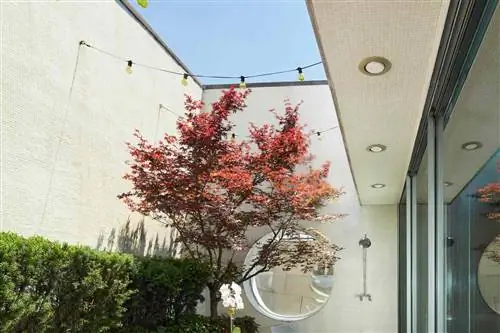 Пентхаус с террасой и душем на открытом воздухе в отеле Maritime Hotel в Нью-Йорке