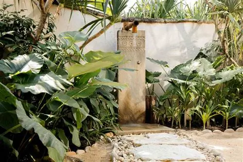 7 отелей с самыми сказочными душевыми под открытым небом - от Мальдив до Мексики