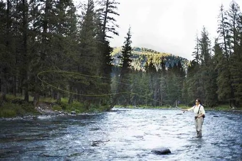 Молодая женщина ловит рыбу нахлыстом в реке Галлатин, Монтана.