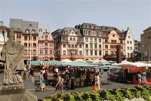 Опыт Uniworld Cruise в Майнце